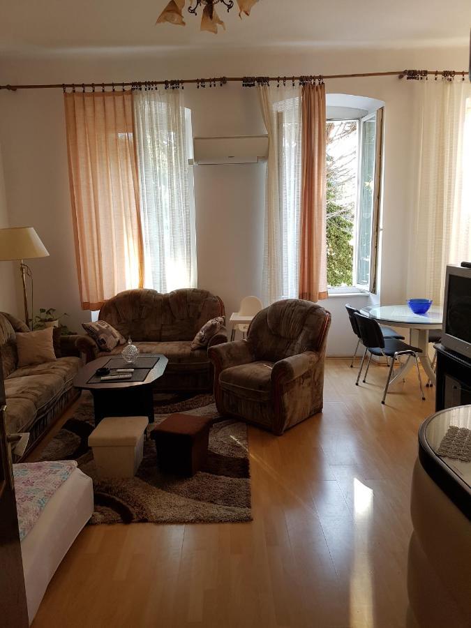 Apartmandamir 茨里克韦尼察 外观 照片
