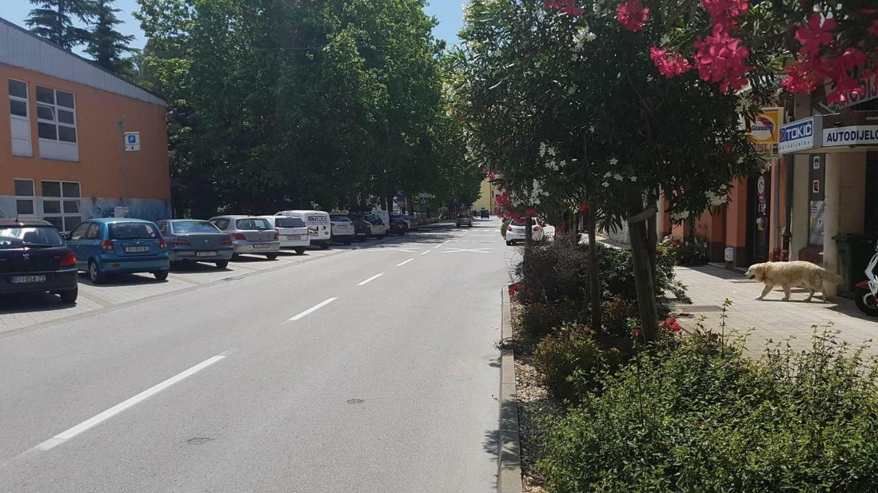 Apartmandamir 茨里克韦尼察 外观 照片